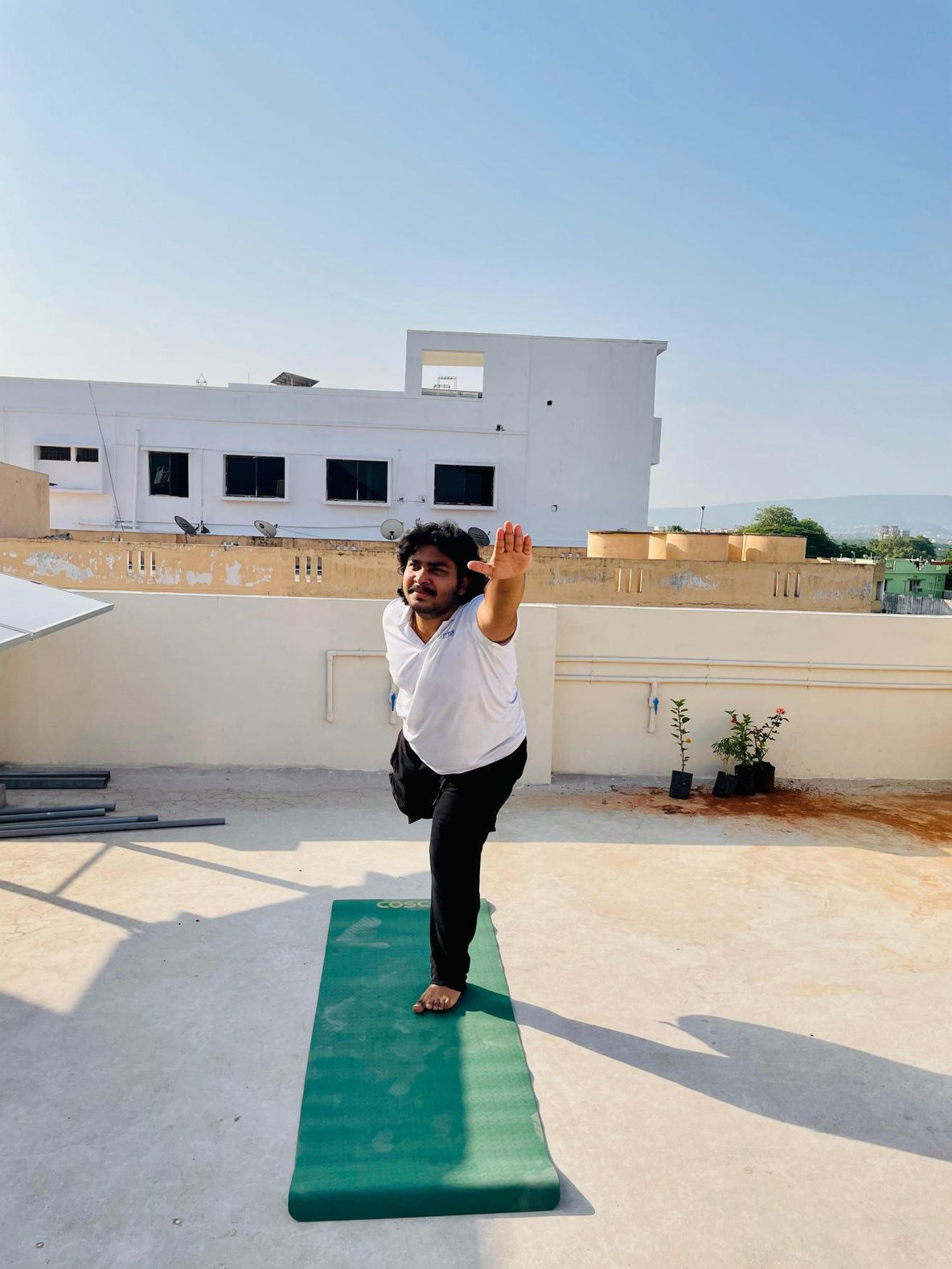 Tree pose on the rooftop