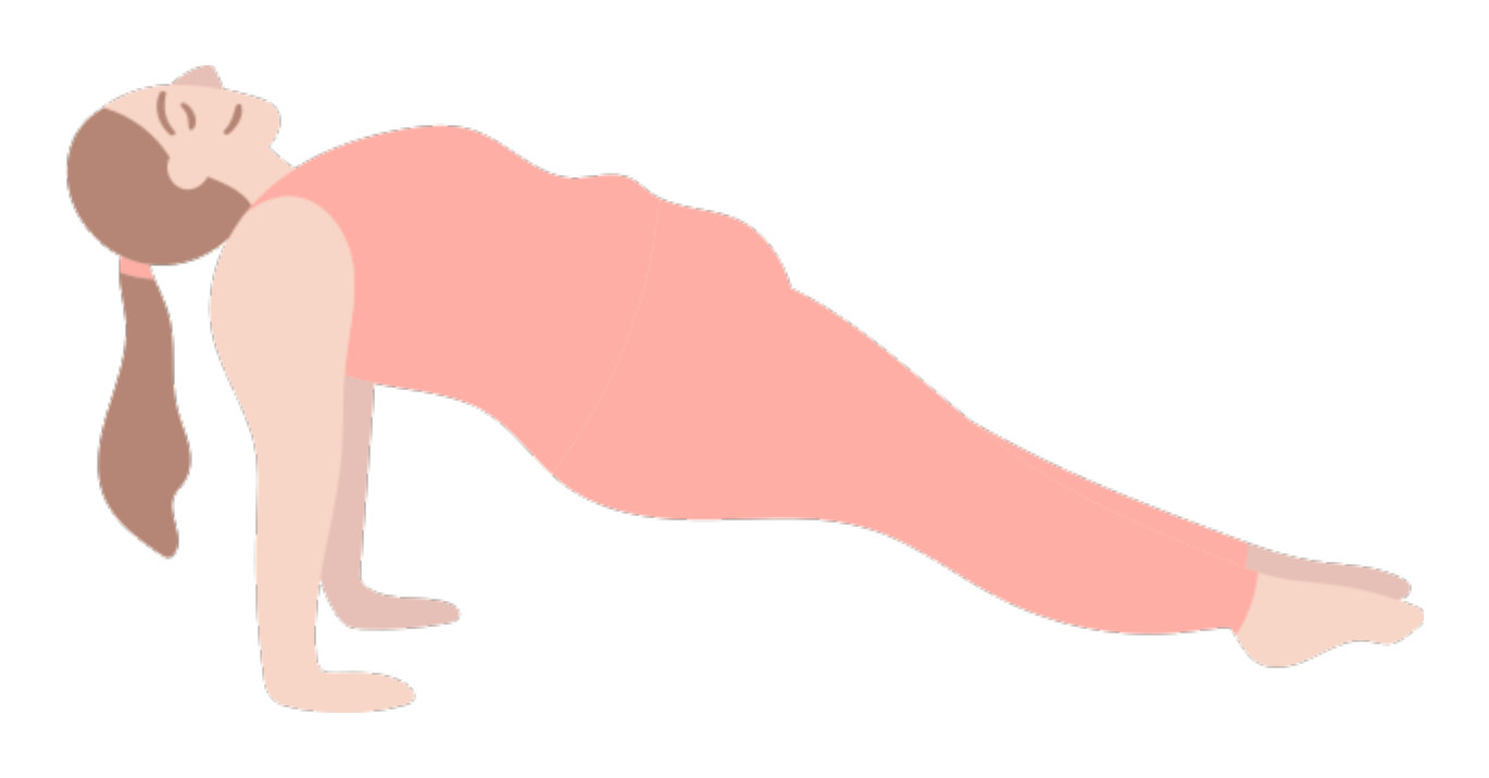 Illustration of a plank pose